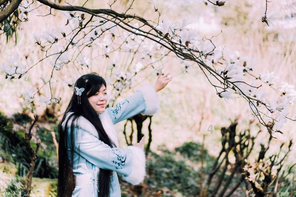 小长颈鹿逃离